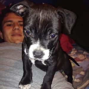 Meet your Posher, Fernando